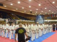 Karmazin György emlékére rendezték a nemzetközi karateversenyt